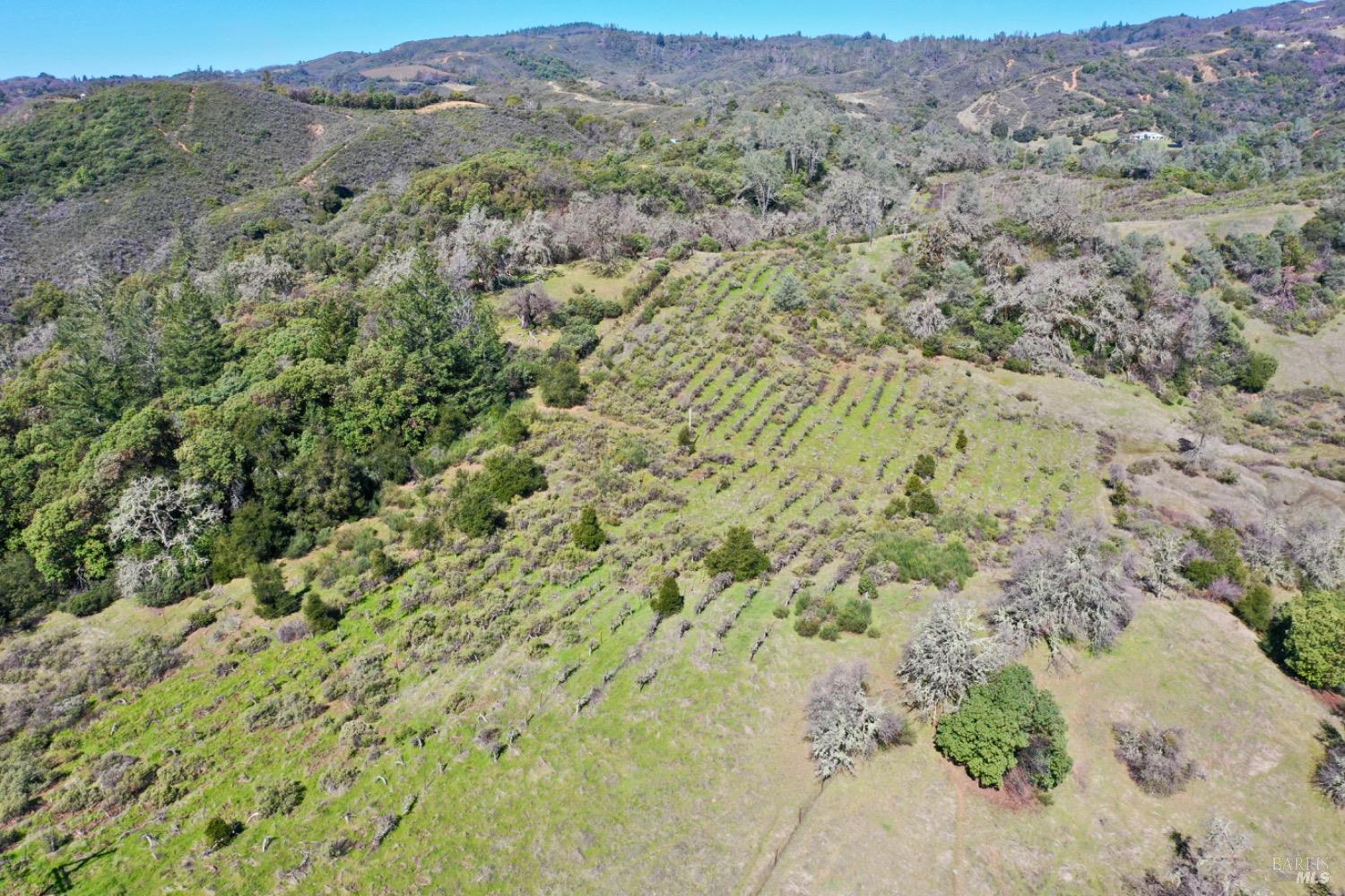 32400 Pine Mountain Road Cloverdale, CA 95425 - Photo 56 of 60
