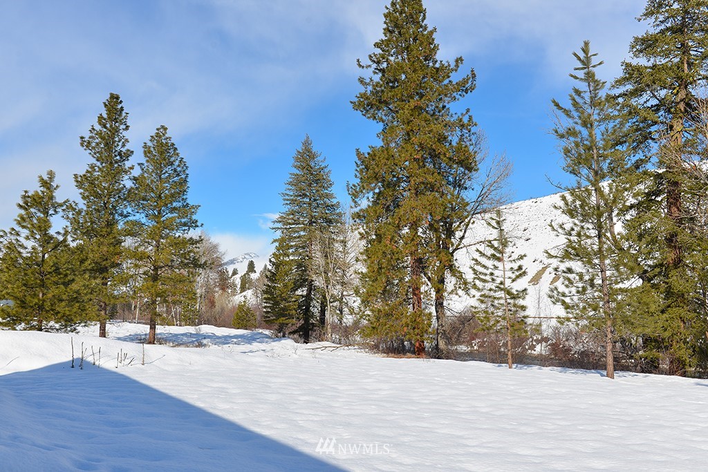 48 Arrowhead Road Winthrop, WA 98862 - Photo 2 of 25 Gallery Image 2