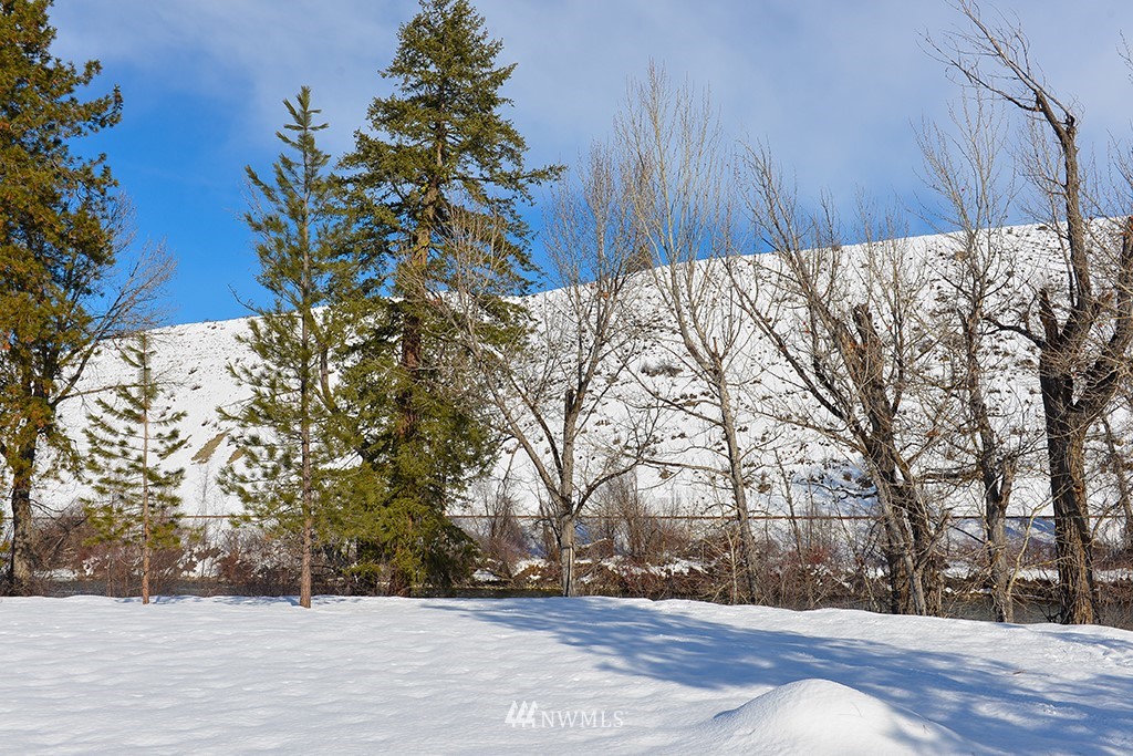 48 Arrowhead Road Winthrop, WA 98862 - Photo 3 of 25 Gallery Image 3