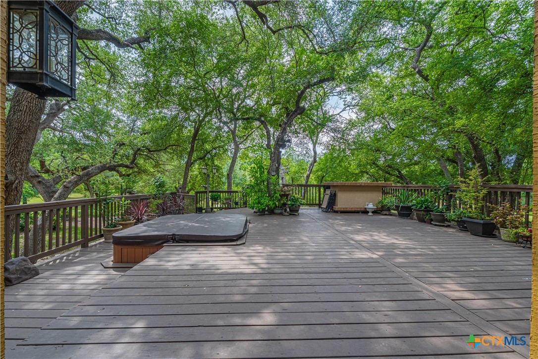 519 Long Meadow Spring Branch, TX 78070 - Photo 28 of 33 a view of a street with potted plants and large trees