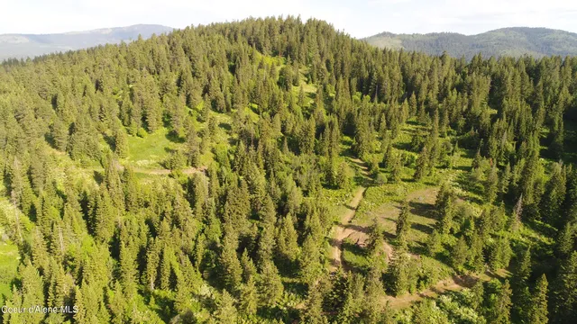 $6,750,000 | 17442 Painted Rose Road, Worley, ID 83876