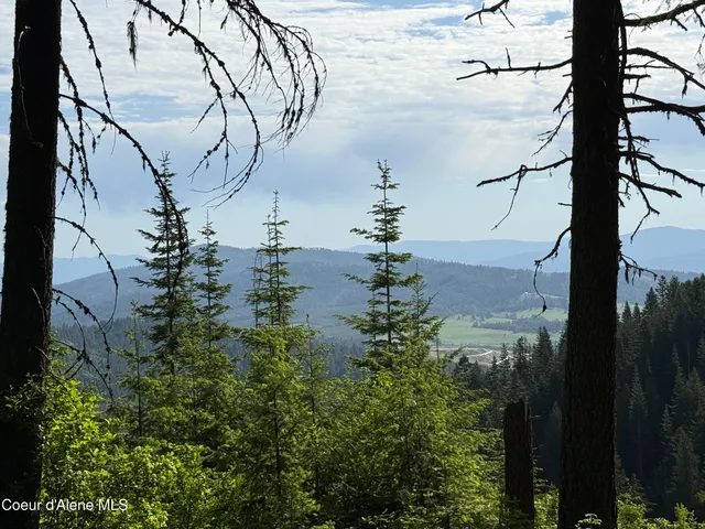 $6,750,000 | 17442 Painted Rose Road, Worley, ID 83876