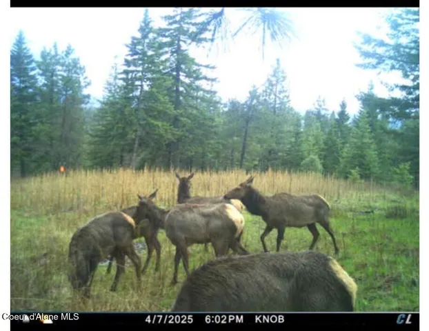 $6,750,000 | 17442 Painted Rose Road, Worley, ID 83876