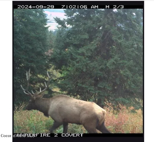 $6,750,000 | 17442 Painted Rose Road, Worley, ID 83876