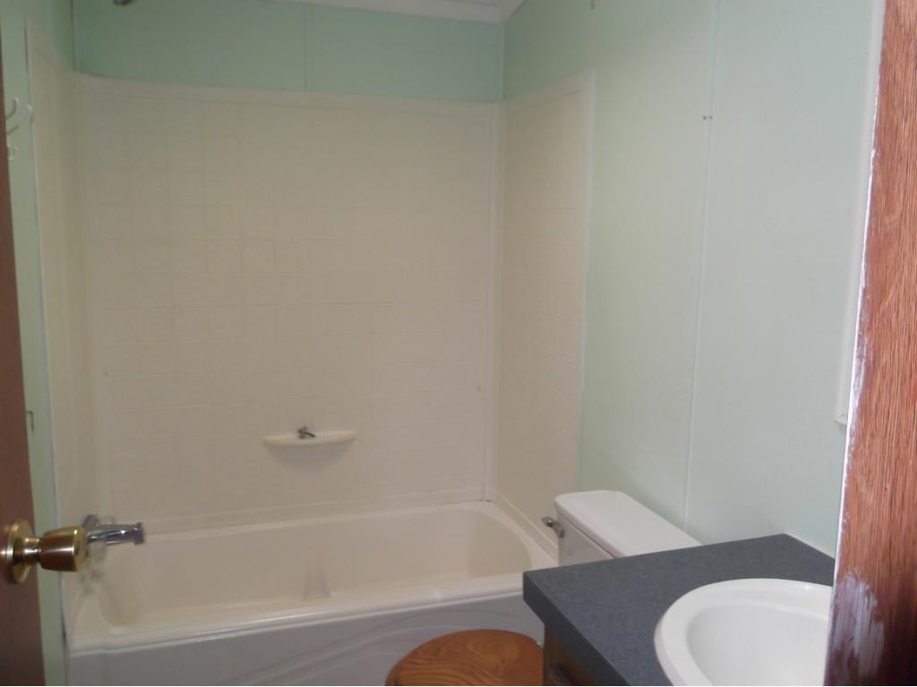 1140 Carters Valley Road Mosheim, TN 37818 - Photo 12 of 31 Full Bathroom