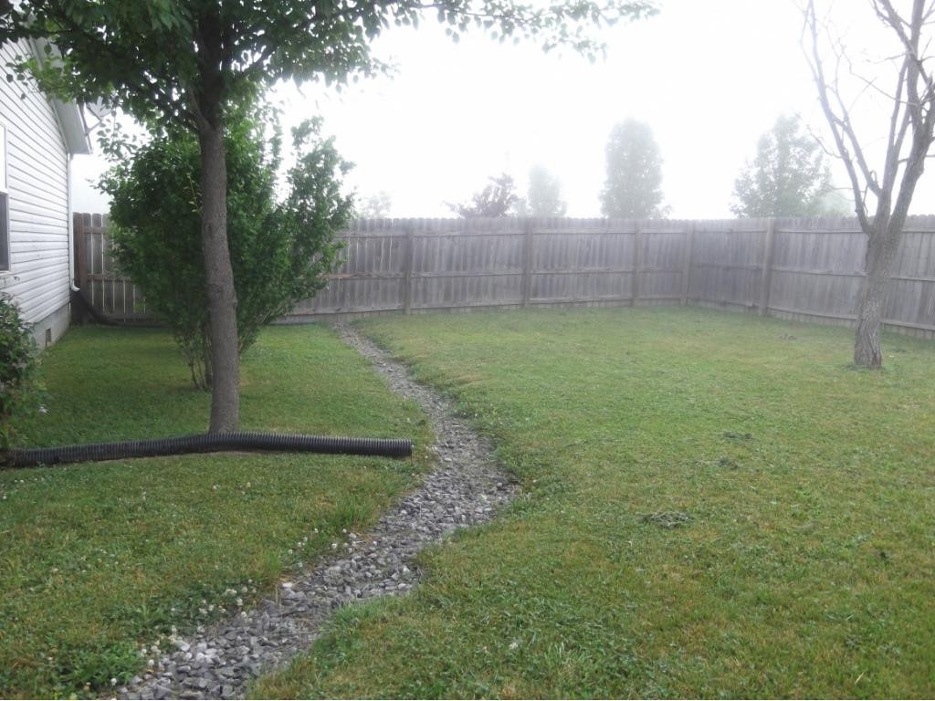 1140 Carters Valley Road Mosheim, TN 37818 - Photo 23 of 31 Another look back fenced yard