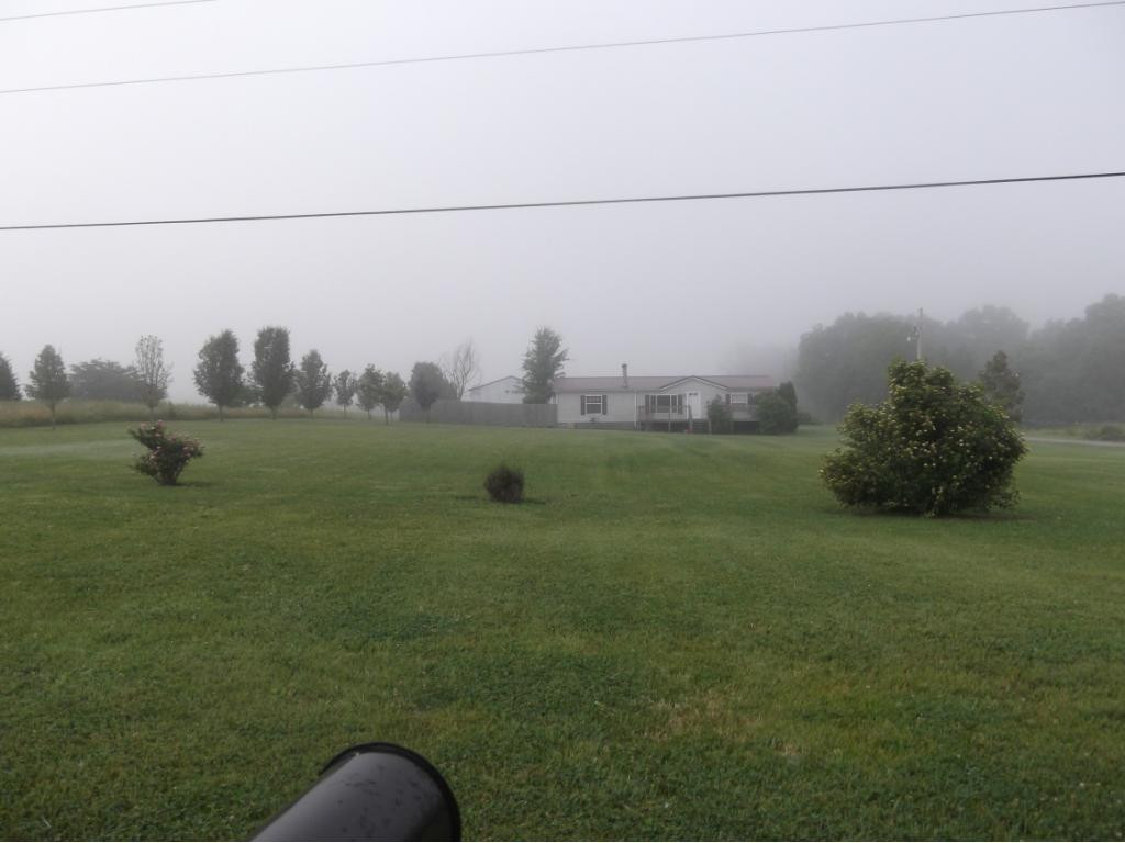 1140 Carters Valley Road Mosheim, TN 37818 - Photo 30 of 31 View from road to house