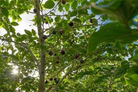 $4,400,000 | Villa Aura Las Terrenas, Samana, Dominican Republic 32000