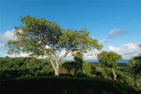 $4,400,000 | Villa Aura Las Terrenas, Samana, Dominican Republic 32000