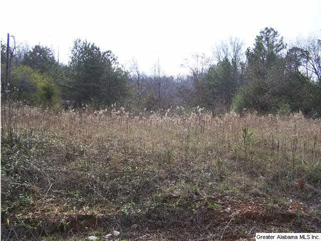 320 County Road 42, Unit 25 AC Oneonta, AL 35121 - Photo 5 of 6
