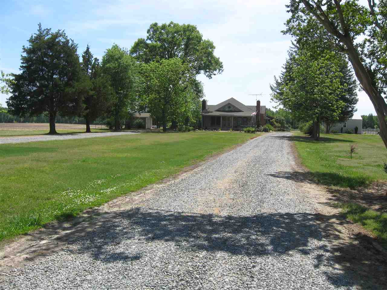 10796 Brogden Road Princeton, NC 27569 - Photo 23 of 25 driveway