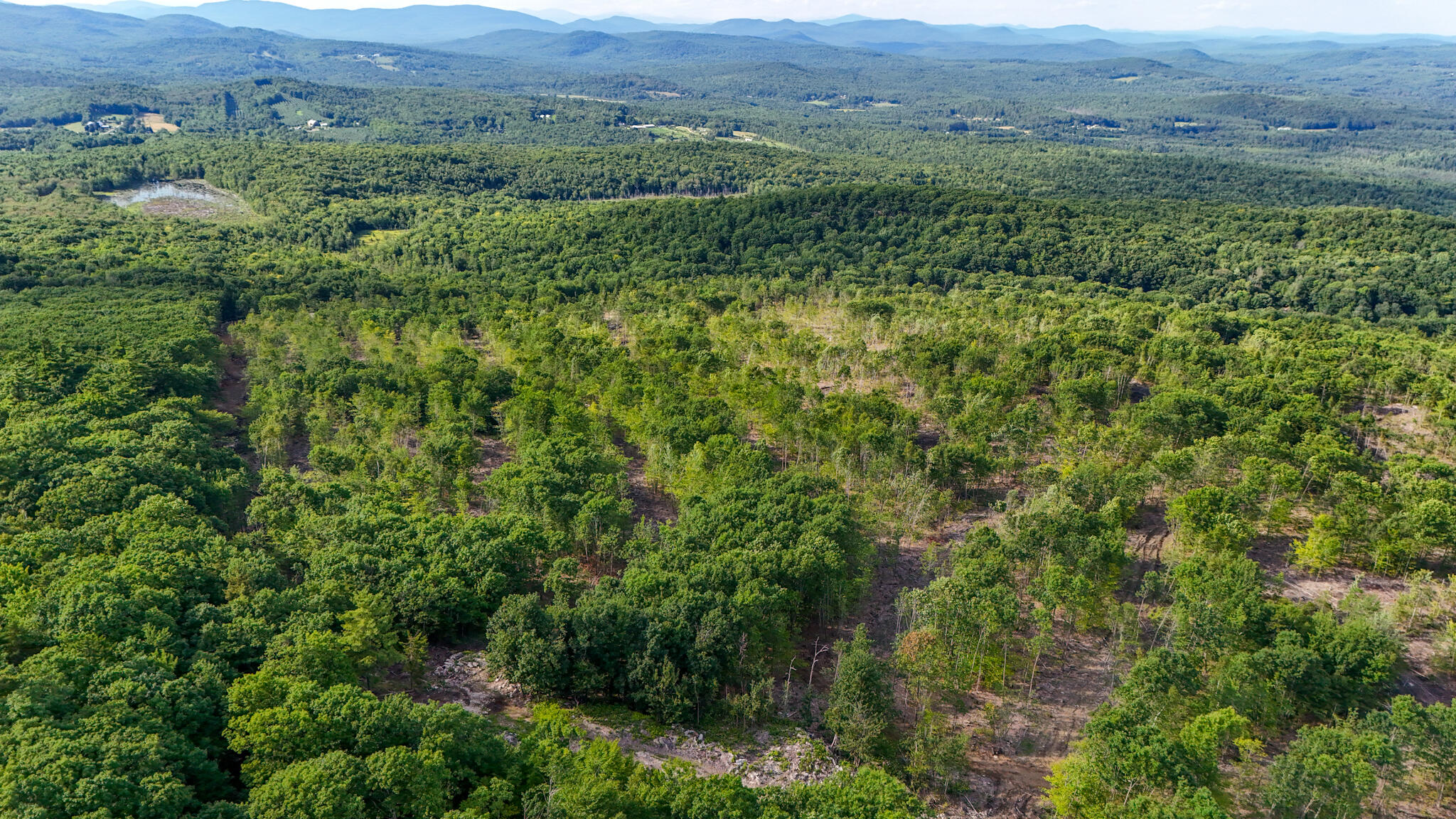 54.62 McAlister Road Buckfield, ME 04220 - Photo 38 of 80 dji_fly_20240718_171658_0103_17213512432