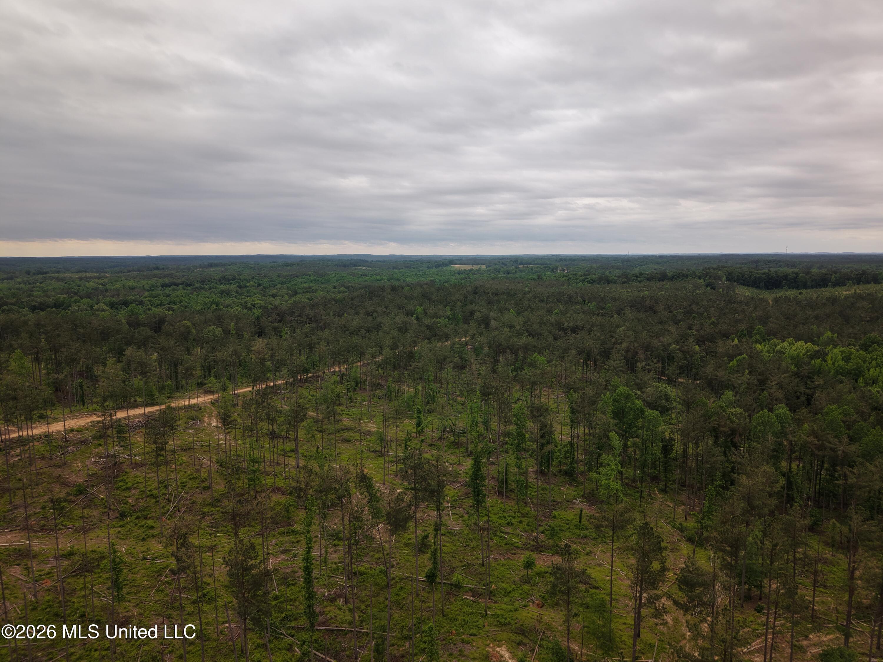 Graysport Crossing Road Gore Springs, MS 38929 - Photo 12 of 16 dji_fly_20260505_112504_0195_17797570156