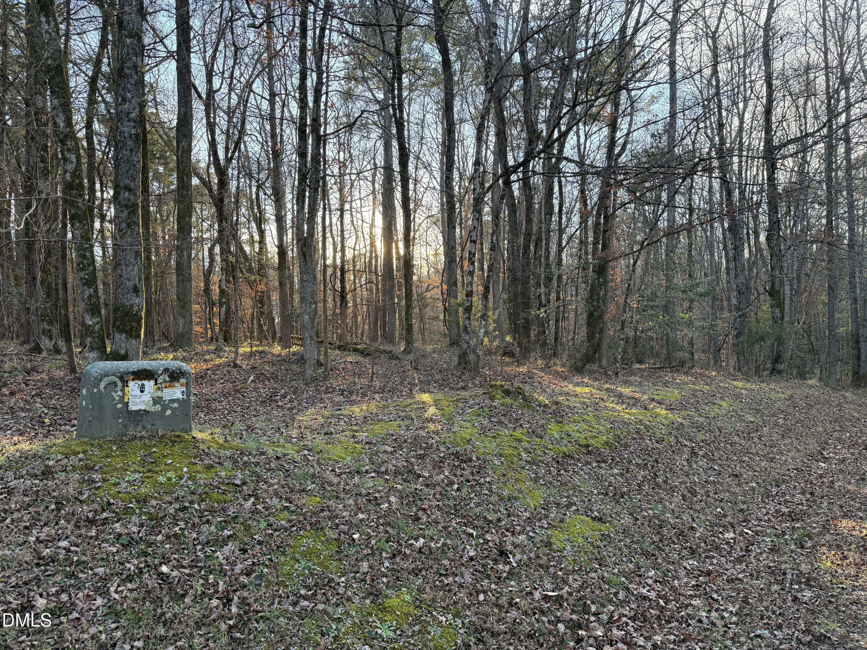 0 Woodland Road Littleton, NC 27850 - Photo 6 of 11 a view of a backyard with large trees