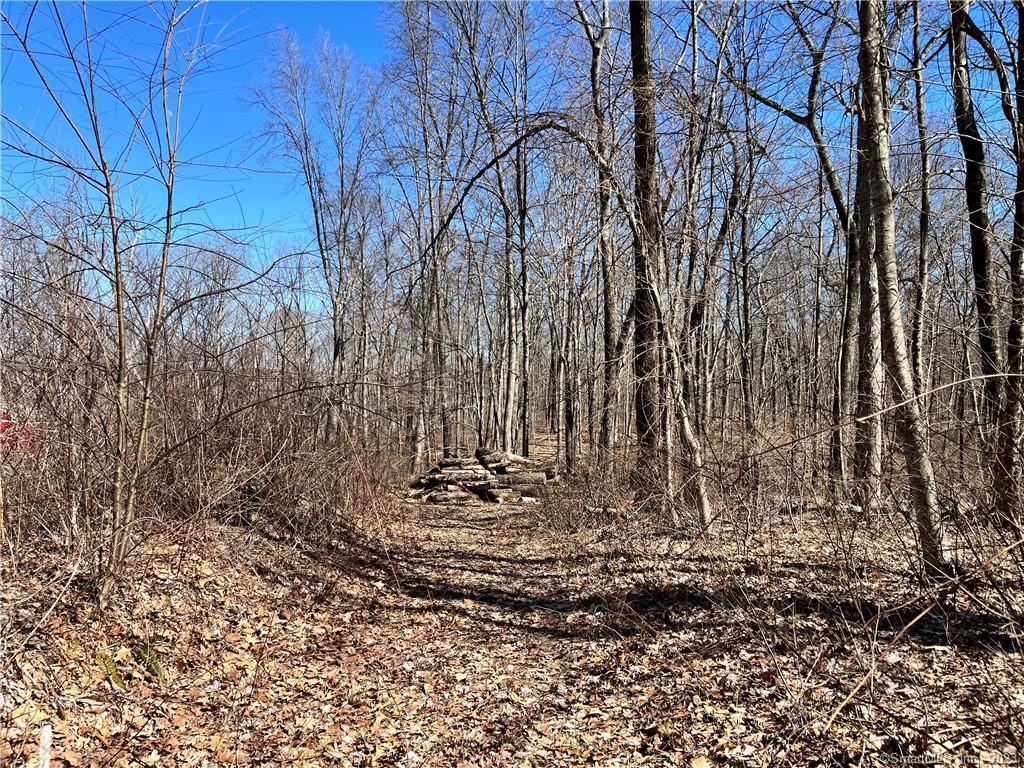 0 Parker Road Marlborough, CT 06447 - Photo 1 of 1 View of land from road.