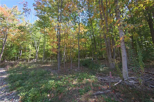 $150,000 | 6571 Stagecoach Road, Conesus, NY 14435