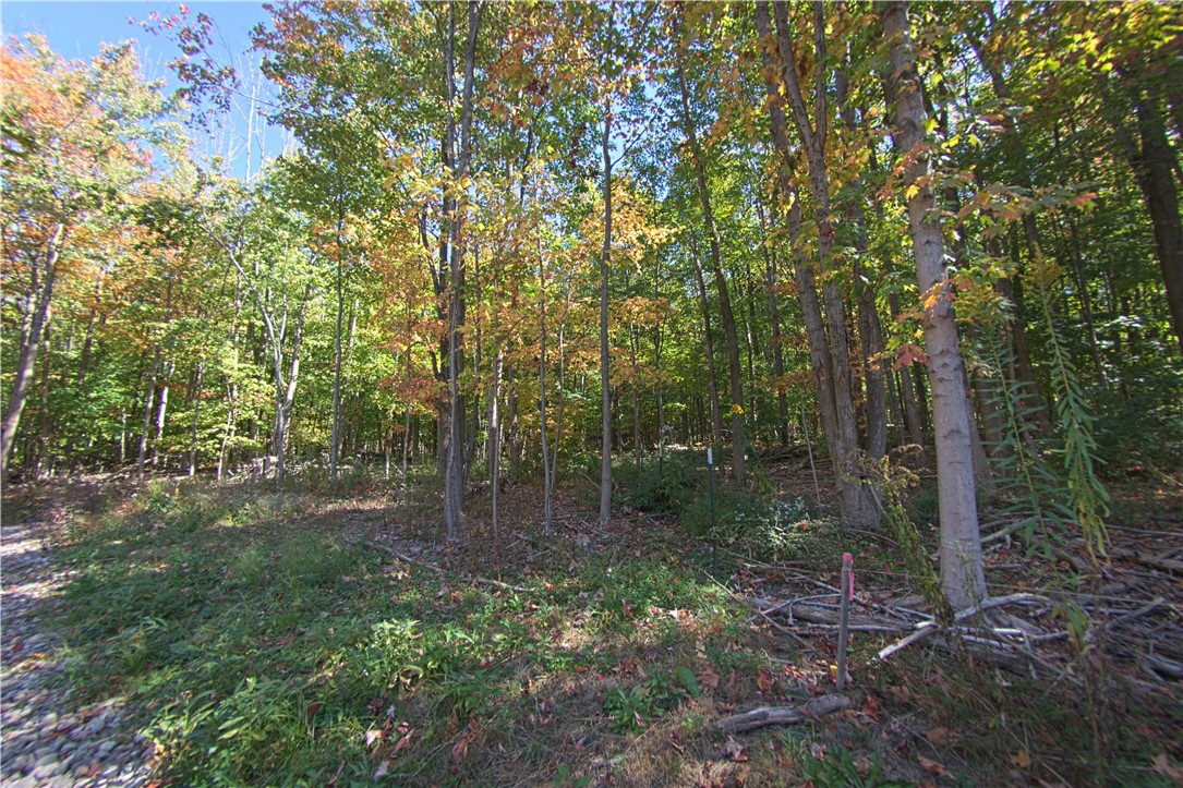 6571 Stagecoach Road Conesus, NY 14435 - Photo 18 of 30