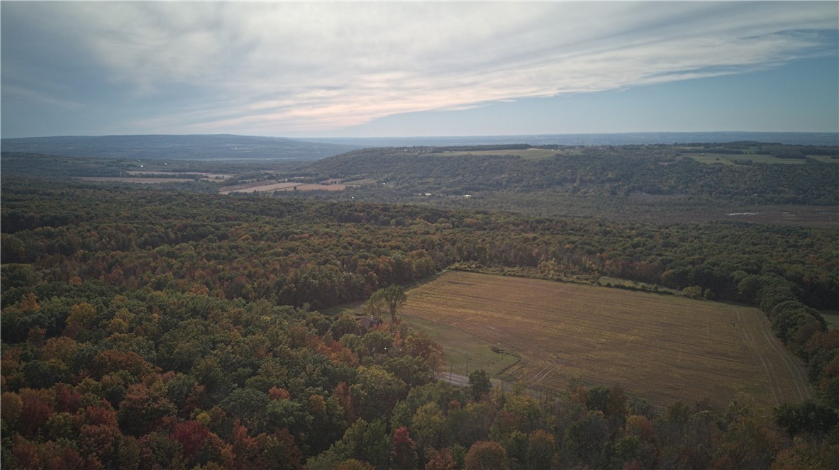 6571 Stagecoach Road Conesus, NY 14435 - Photo 4 of 30