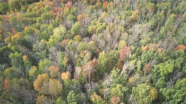 $150,000 | 6571 Stagecoach Road, Conesus, NY 14435