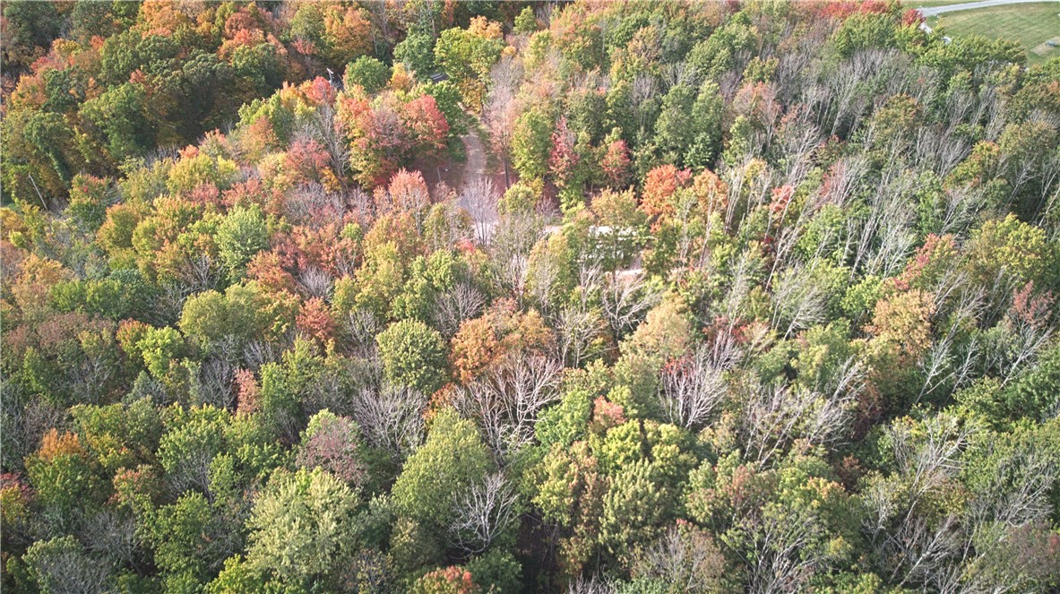 6571 Stagecoach Road Conesus, NY 14435 - Photo 7 of 30