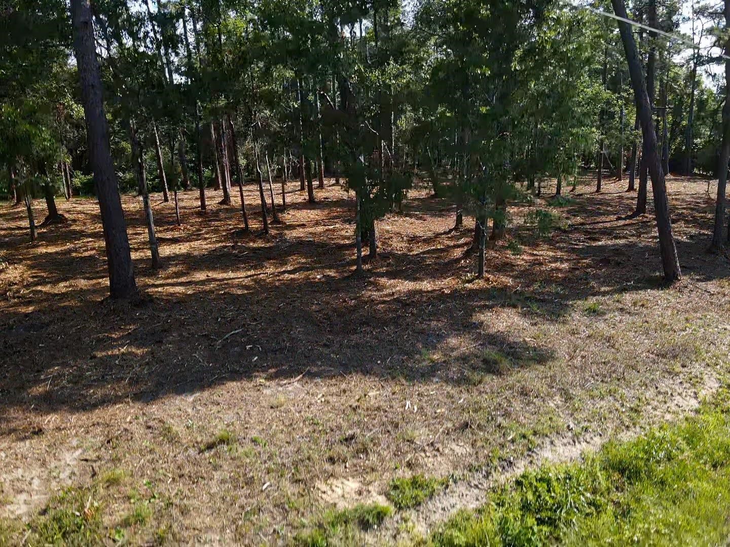 0 Antietam Road Lillian, AL 36549 - Photo 18 of 32