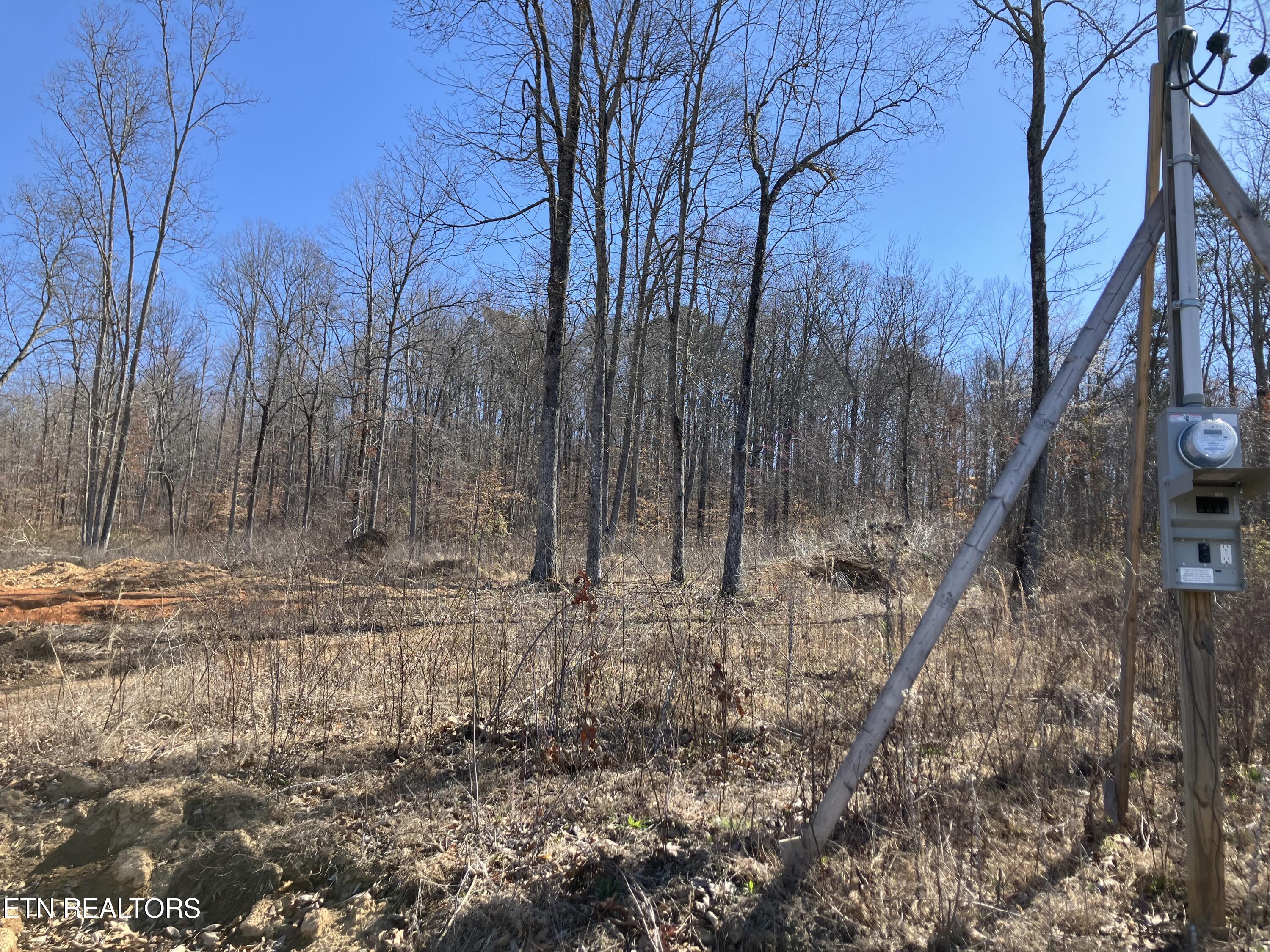 3 Hidden Timber Drive Maynardville, TN 37807 - Photo 5 of 7 IMG_2983