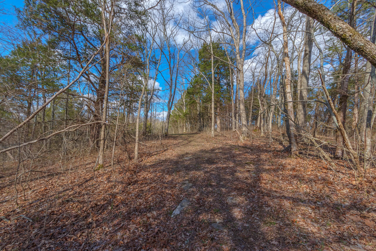 1 Camp Pleasant Road Frankfort, KY 40601 - Photo 17 of 67 041-2918-Cedar-Rd-Stamping-Ground-KY-403