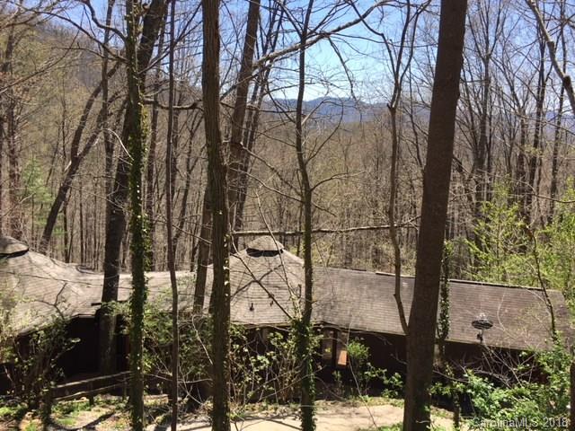 40 Weeping Cherry Forest Road Fairview, NC 28730 - Photo 3 of 24 Gallery Image 3
