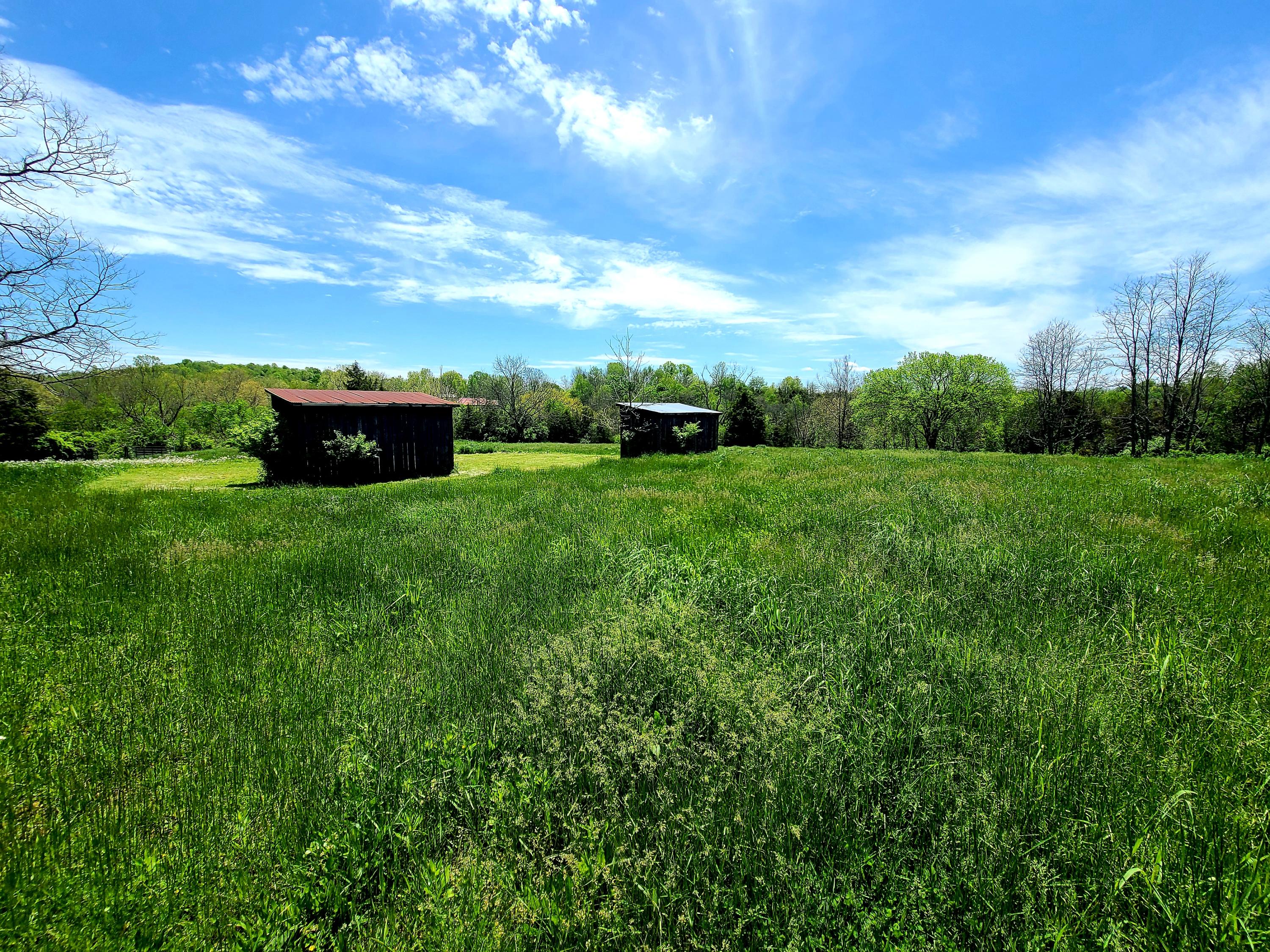 1436 Elm Fork Road Nicholasville, KY 40356 - Photo 15 of 33 20210506_133919