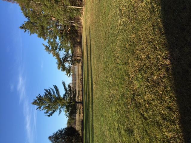 2888 West 10 Mile Road Dafter, MI 49724 - Photo 28 of 41 Gallery Image 28