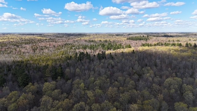4172 West North Clover Road Winter, WI 54896 - Photo 25 of 25