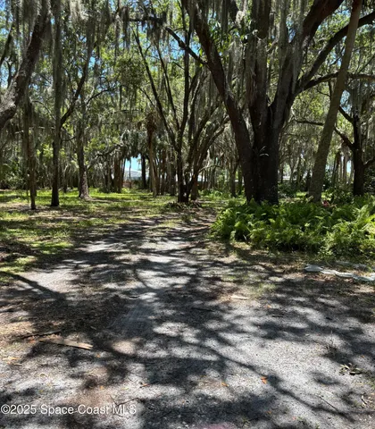 a view of a tree in the middle of a yard
