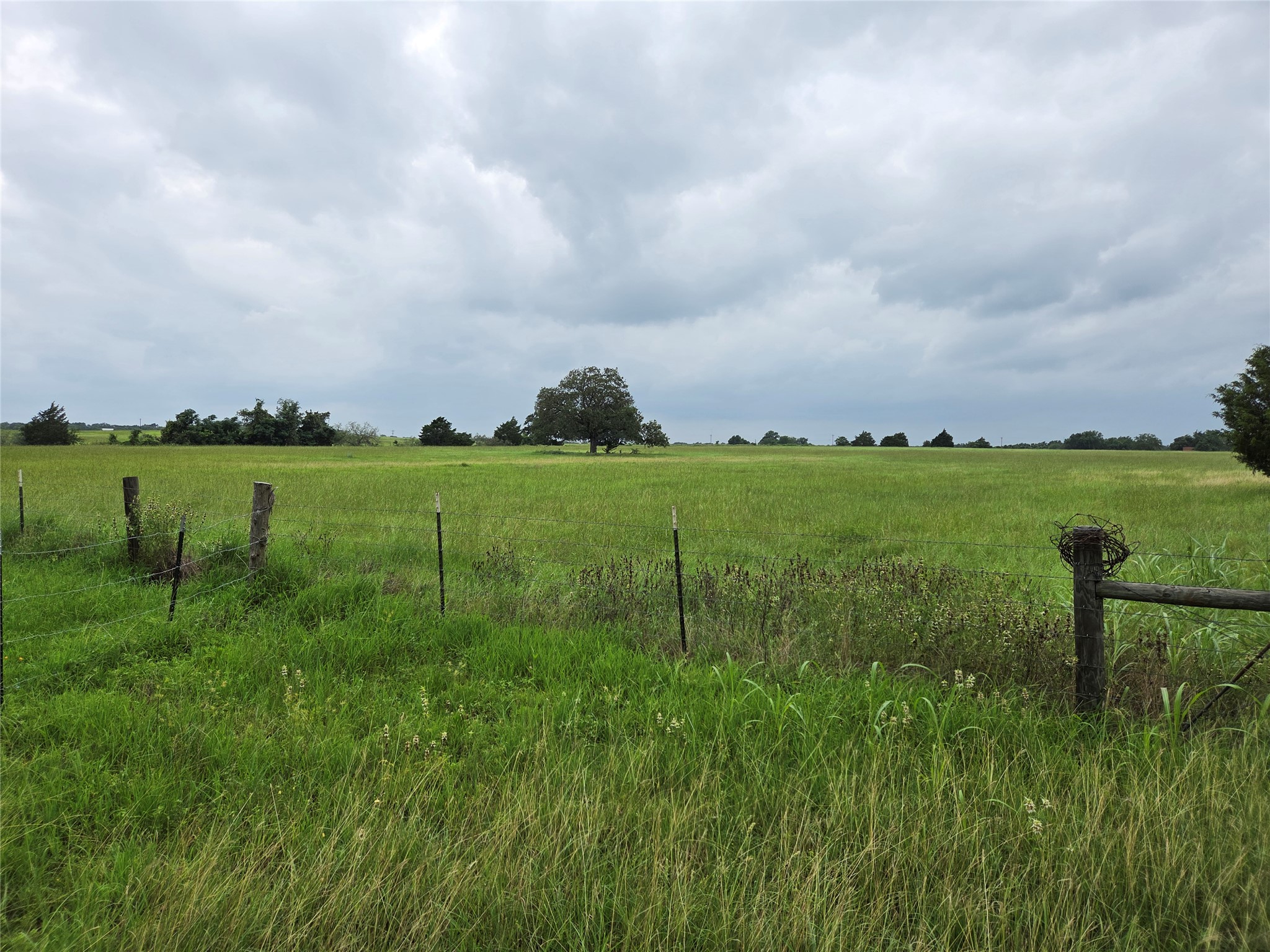 134 Prairie Lane Elgin, TX 78621 - Photo 3 of 5 View of acreage