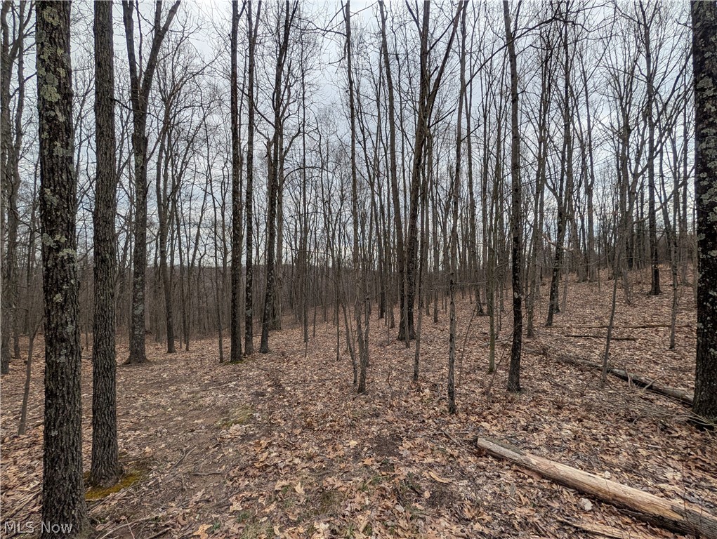 39000 Lees Run Road Cadiz, OH 43907 - Photo 21 of 49