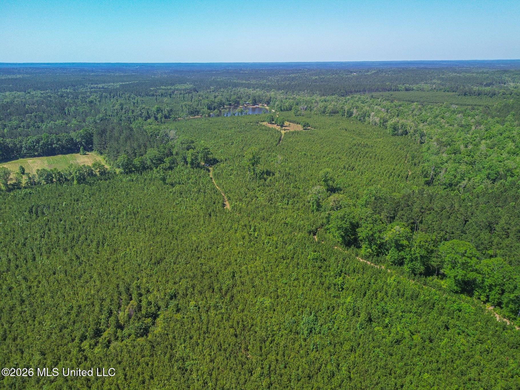 271 Shadeville Road Wiggins, MS 39577 - Photo 4 of 45 51426-4