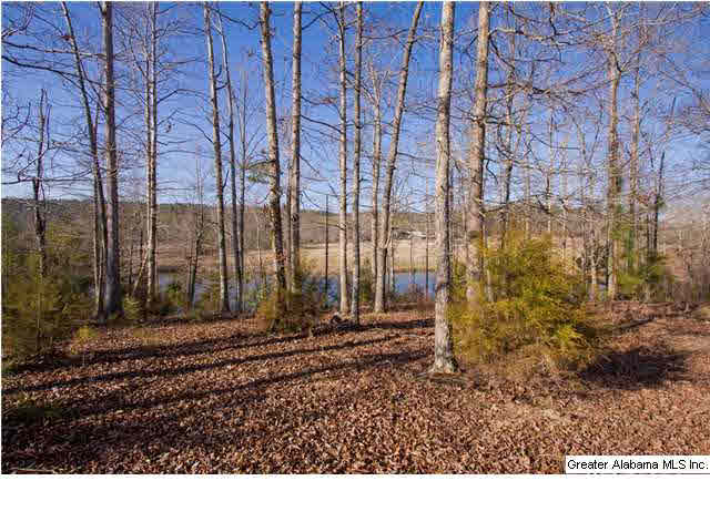 905 Smith Road Oneonta, AL 35121 - Photo 25 of 30