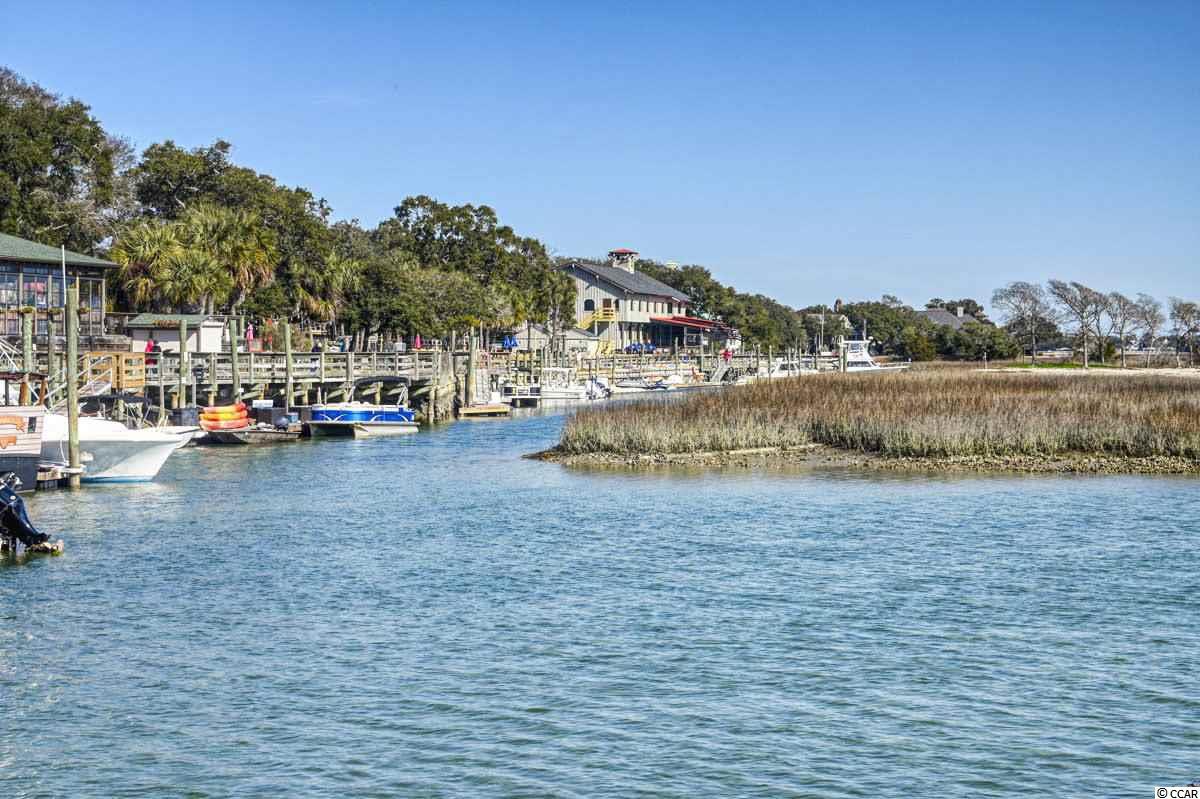 129 Crooked Island Circle Murrells Inlet, SC 29576 - Photo 29 of 38 Gallery Image 29