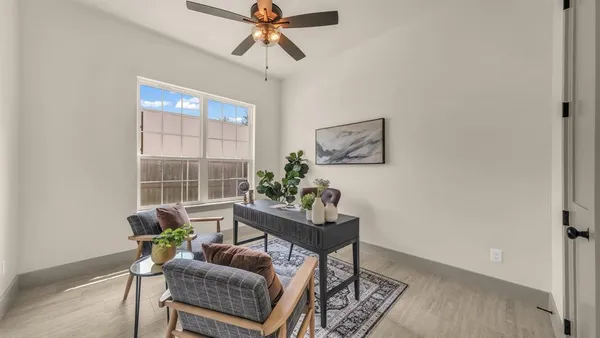 a living room with furniture potted plant and a lamp