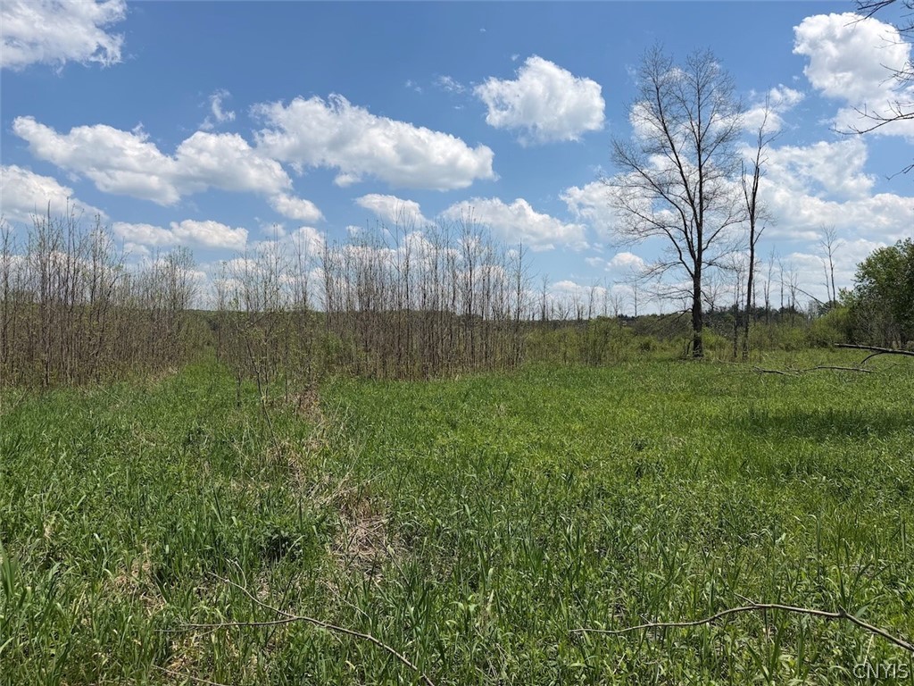 Buttermilk Road South Dayton, NY 14138 - Photo 19 of 26