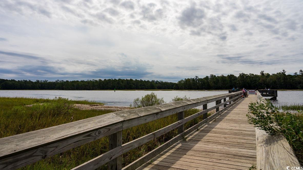 283 Ridley Street Longs, SC 29568 - Photo 27 of 33 Dock with a water view and a forest view