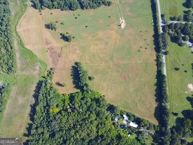 a view of a garden with lawn chairs