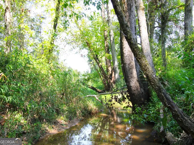 a view of a water pond with green yard