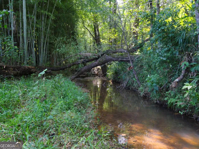 a view of swimming pool with a yard