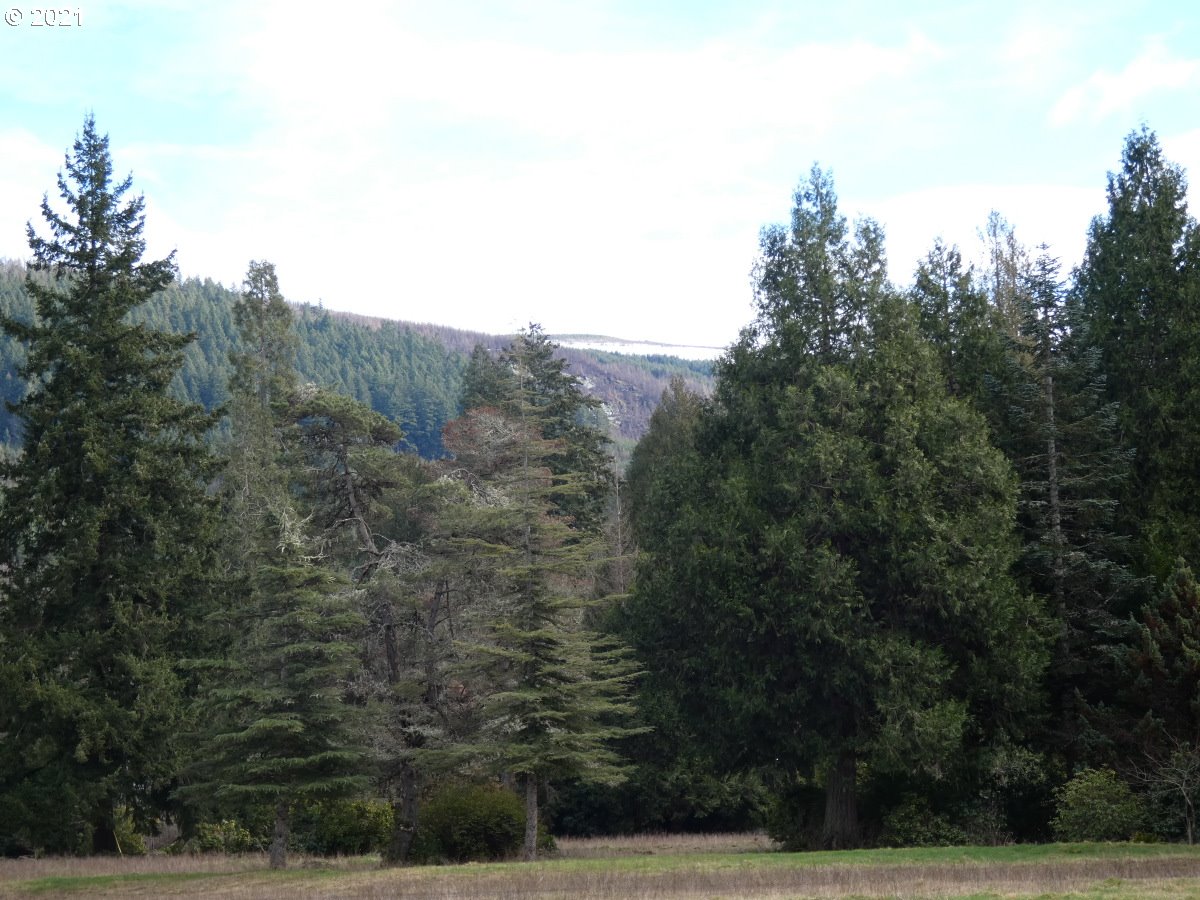 Omlid Drive, Unit 8 Springfield, OR 97478 - Photo 12 of 15 Gallery Image 12