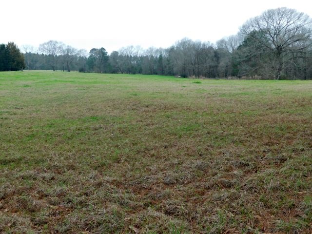 68000-blk Scranage Road Atmore, AL 36502 - Photo 1 of 13