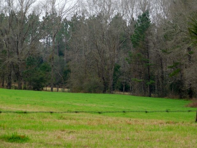 68000-blk Scranage Road Atmore, AL 36502 - Photo 11 of 13