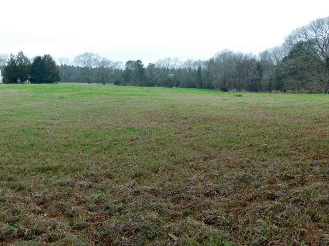 68000-blk Scranage Road Atmore, AL 36502 - Photo 3 of 13