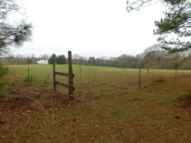 68000-blk Scranage Road Atmore, AL 36502 - Photo 4 of 13