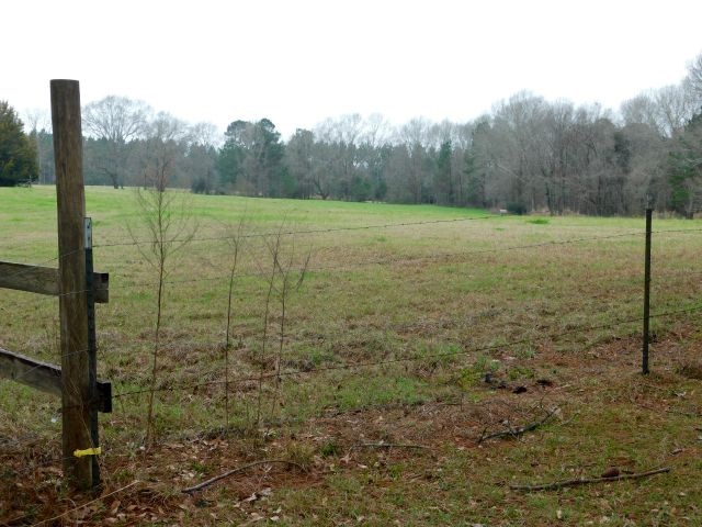68000-blk Scranage Road Atmore, AL 36502 - Photo 5 of 13