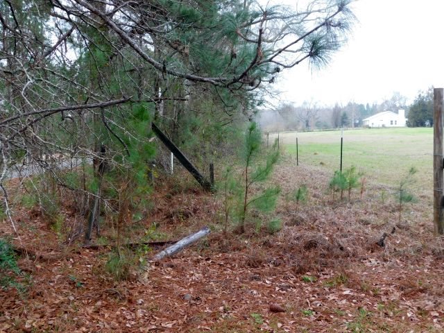 68000-blk Scranage Road Atmore, AL 36502 - Photo 6 of 13